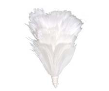 Plumes/Hackles